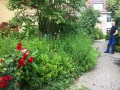 Vorher Bammental (1)