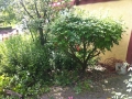 Vorher Bammental (4)