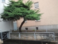 Nachher Heilbronn (3)