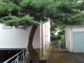 Nachher Heilbronn (4)