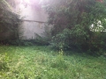 Vorher Heilbronn (5)